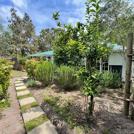 Hotel Equleni Guest Farm Sedgefield Esterno foto
