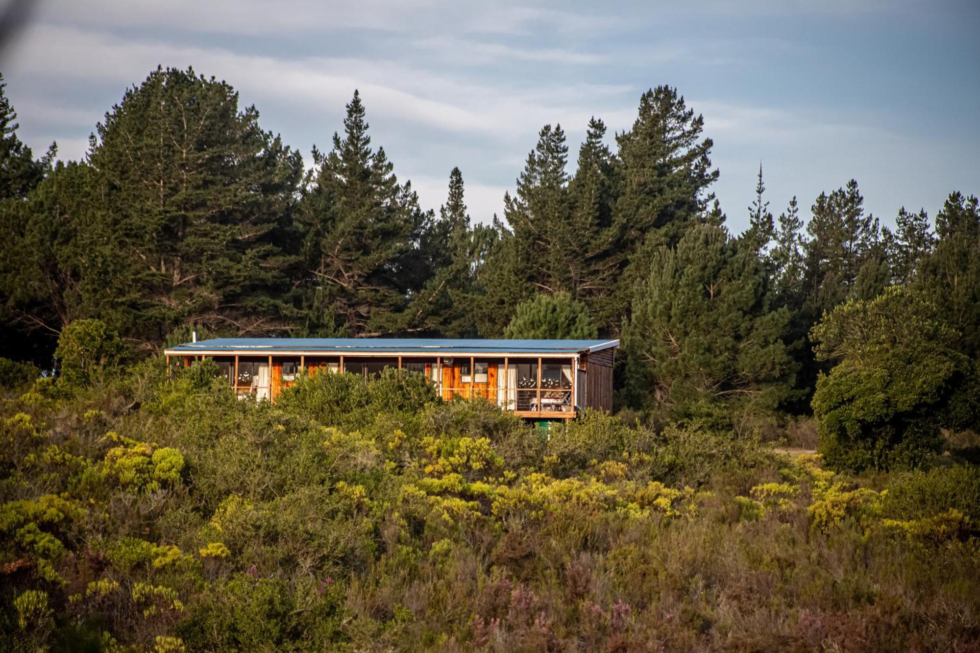Hotel Equleni Guest Farm Sedgefield Esterno foto