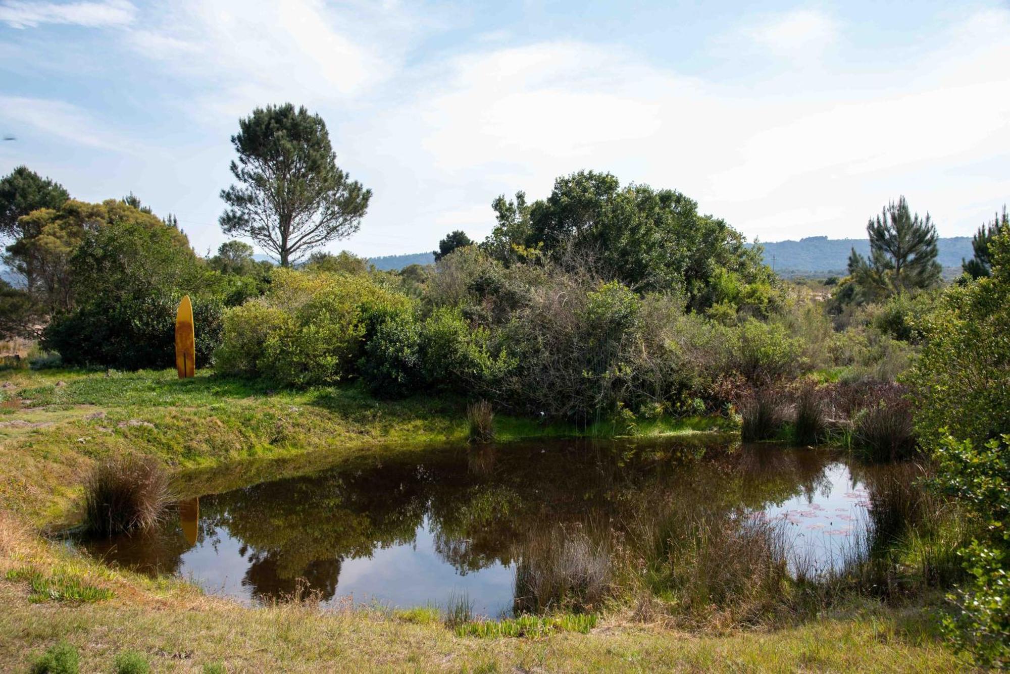 Hotel Equleni Guest Farm Sedgefield Esterno foto