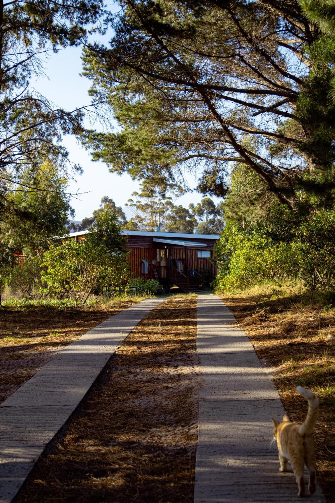Hotel Equleni Guest Farm Sedgefield Esterno foto